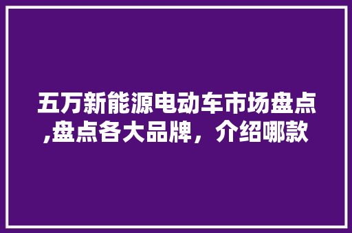 五万新能源电动车市场盘点,盘点各大品牌，介绍哪款最值得购买  第1张