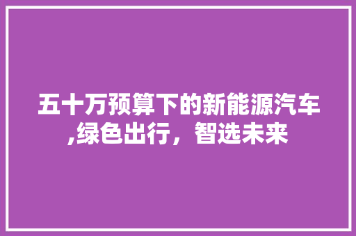 五十万预算下的新能源汽车,绿色出行，智选未来  第1张