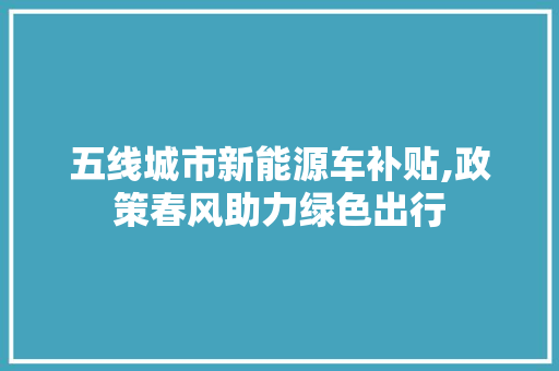 五线城市新能源车补贴,政策春风助力绿色出行  第1张