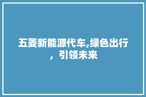 五菱新能源代车,绿色出行，引领未来  第1张