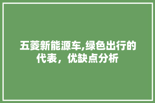 五菱新能源车,绿色出行的代表，优缺点分析  第1张