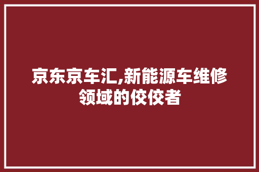 京东京车汇,新能源车维修领域的佼佼者  第1张