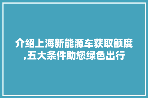 介绍上海新能源车获取额度,五大条件助您绿色出行  第1张