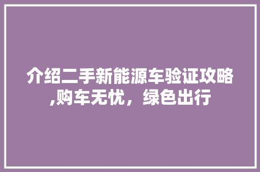 介绍二手新能源车验证攻略,购车无忧，绿色出行