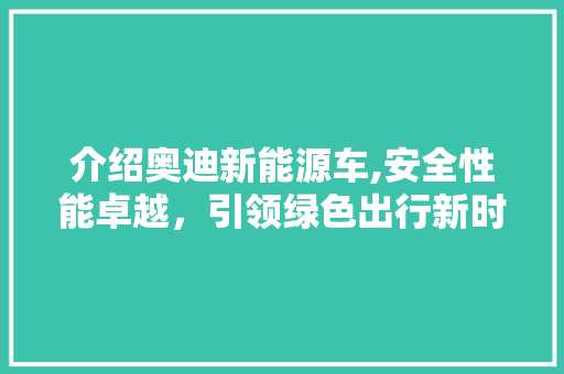 介绍奥迪新能源车,安全性能卓越，引领绿色出行新时代  第1张