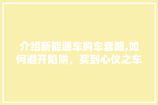 介绍新能源车购车套路,如何避开陷阱，买到心仪之车  第1张