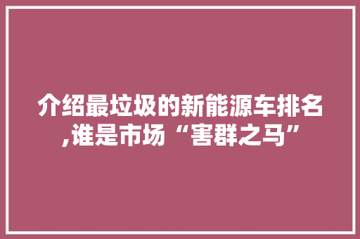 介绍最垃圾的新能源车排名,谁是市场“害群之马”  第1张