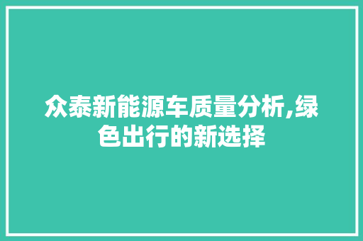 众泰新能源车质量分析,绿色出行的新选择  第1张