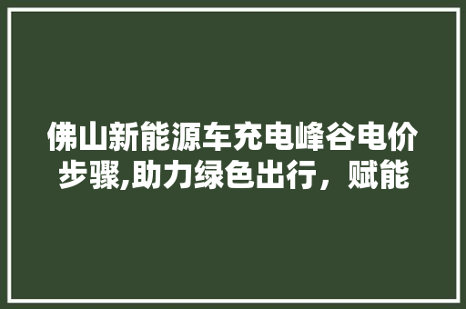 佛山新能源车充电峰谷电价步骤,助力绿色出行，赋能城市可持续发展  第1张