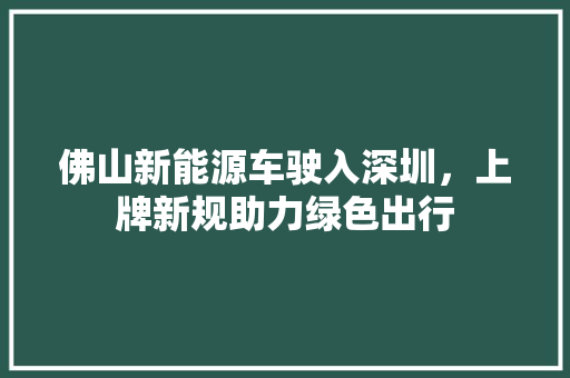 佛山新能源车驶入深圳，上牌新规助力绿色出行  第1张