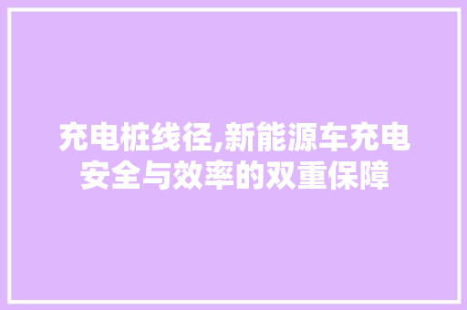 充电桩线径,新能源车充电安全与效率的双重保障  第1张