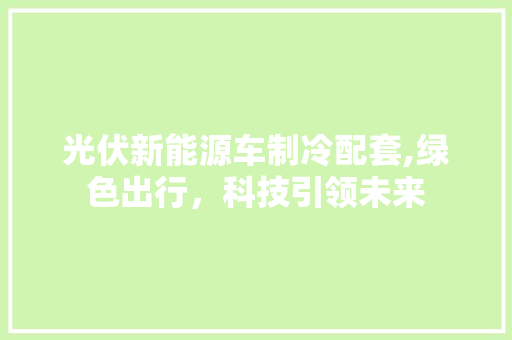 光伏新能源车制冷配套,绿色出行，科技引领未来