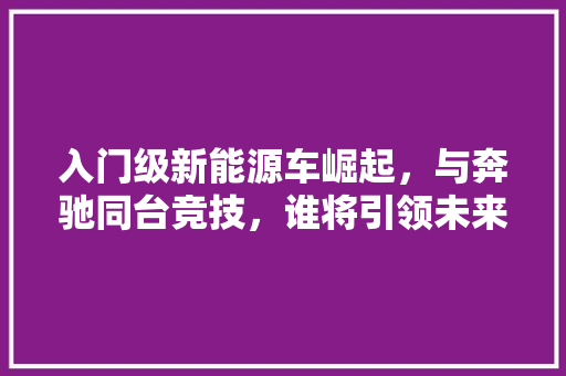 入门级新能源车崛起，与奔驰同台竞技，谁将引领未来  第1张