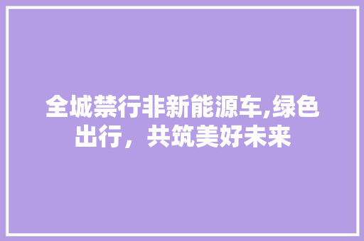 全城禁行非新能源车,绿色出行，共筑美好未来