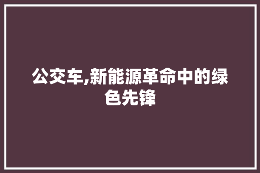 公交车,新能源革命中的绿色先锋  第1张