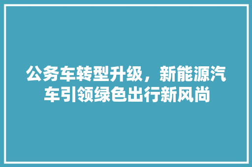 公务车转型升级，新能源汽车引领绿色出行新风尚