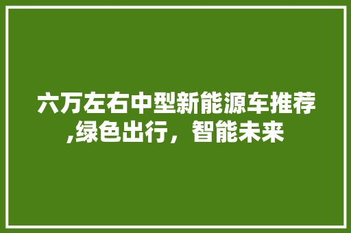 六万左右中型新能源车推荐,绿色出行，智能未来  第1张