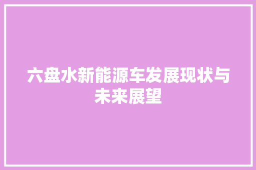 六盘水新能源车发展现状与未来展望