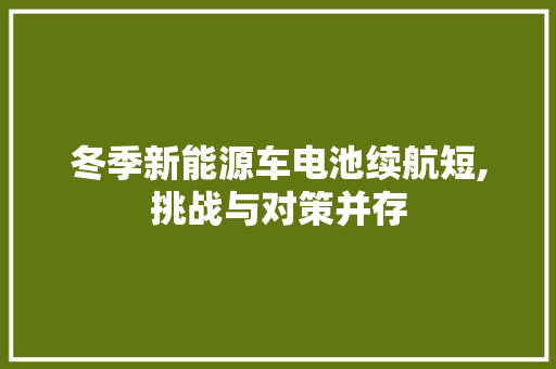 冬季新能源车电池续航短,挑战与对策并存  第1张