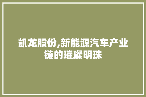 凯龙股份,新能源汽车产业链的璀璨明珠