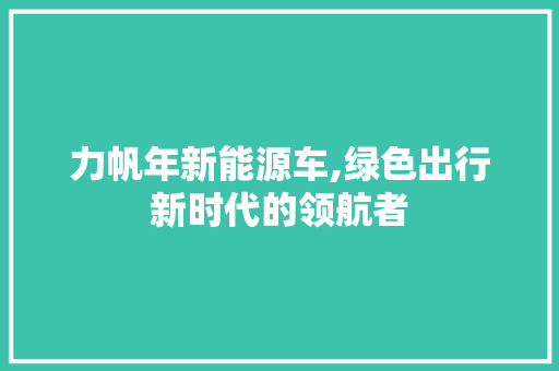 力帆年新能源车,绿色出行新时代的领航者