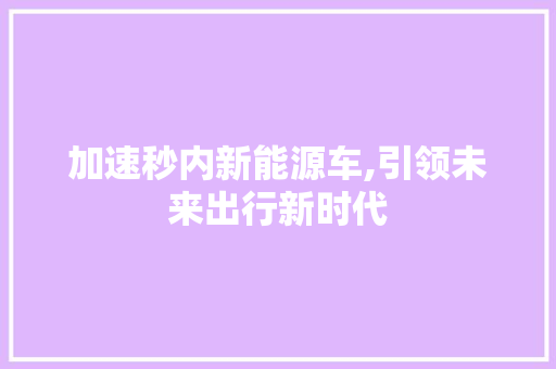 加速秒内新能源车,引领未来出行新时代