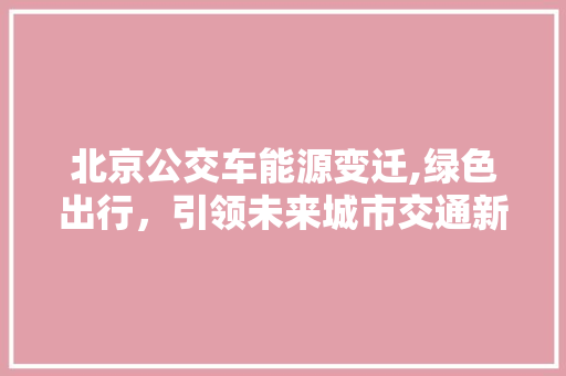 北京公交车能源变迁,绿色出行，引领未来城市交通新潮流  第1张