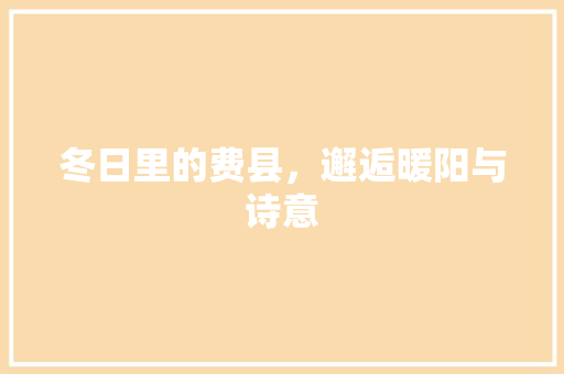 冬日里的费县，邂逅暖阳与诗意