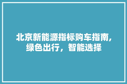 北京新能源指标购车指南,绿色出行，智能选择