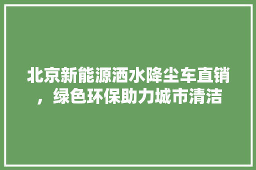 北京新能源洒水降尘车直销，绿色环保助力城市清洁