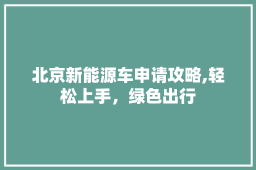 北京新能源车申请攻略,轻松上手，绿色出行