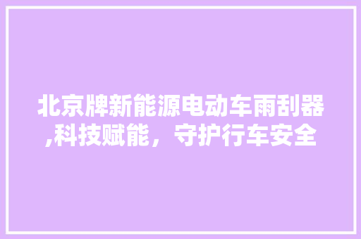 北京牌新能源电动车雨刮器,科技赋能，守护行车安全  第1张