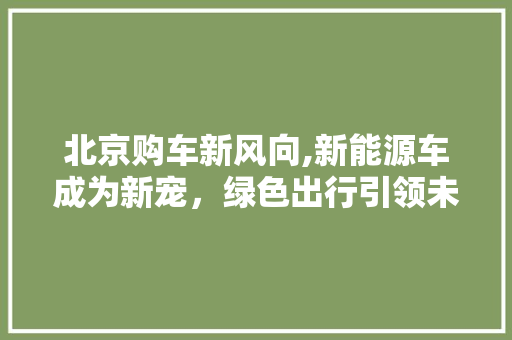 北京购车新风向,新能源车成为新宠，绿色出行引领未来  第1张