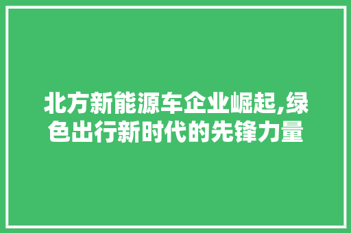 北方新能源车企业崛起,绿色出行新时代的先锋力量