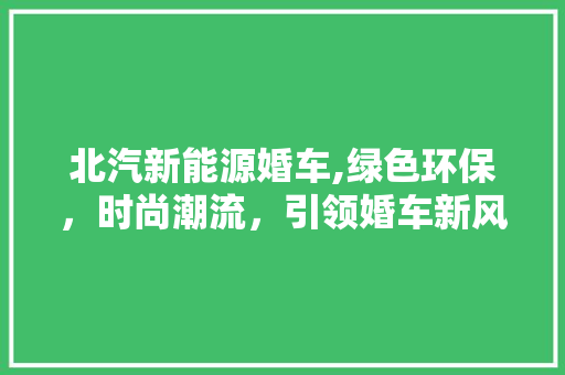 北汽新能源婚车,绿色环保，时尚潮流，引领婚车新风尚