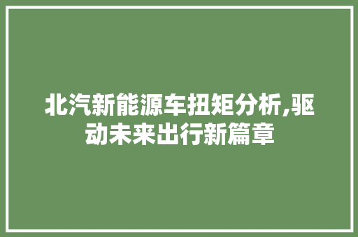 北汽新能源车扭矩分析,驱动未来出行新篇章