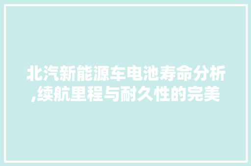 北汽新能源车电池寿命分析,续航里程与耐久性的完美结合  第1张