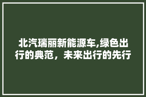 北汽瑞丽新能源车,绿色出行的典范，未来出行的先行者