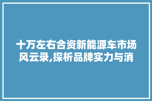 十万左右合资新能源车市场风云录,探析品牌实力与消费者偏好  第1张