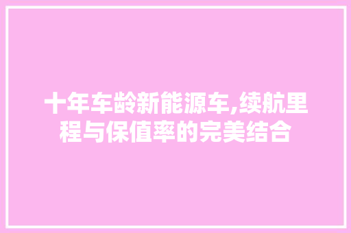 十年车龄新能源车,续航里程与保值率的完美结合