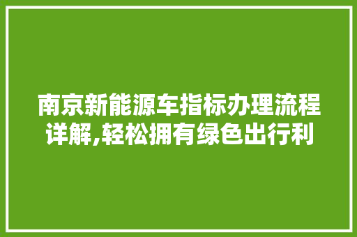 南京新能源车指标办理流程详解,轻松拥有绿色出行利器  第1张