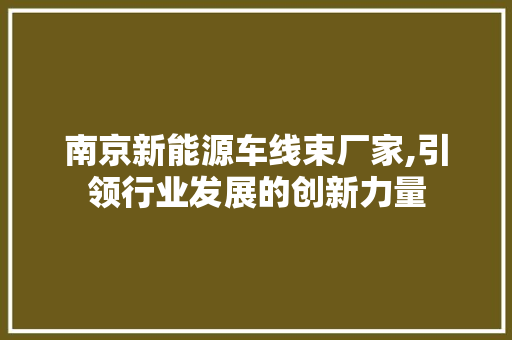 南京新能源车线束厂家,引领行业发展的创新力量