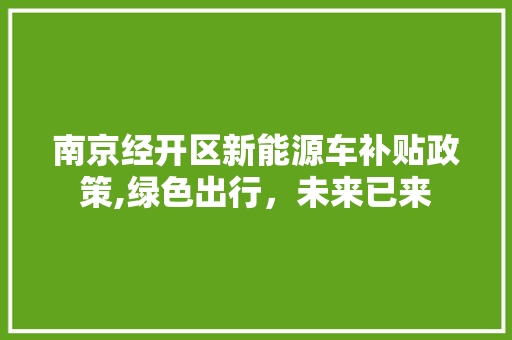 南京经开区新能源车补贴政策,绿色出行，未来已来  第1张