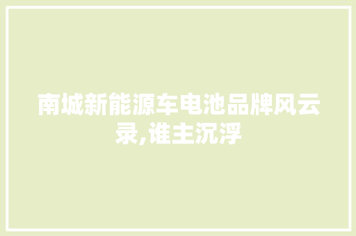 南城新能源车电池品牌风云录,谁主沉浮