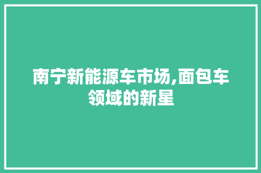 南宁新能源车市场,面包车领域的新星