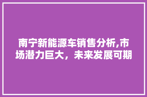 南宁新能源车销售分析,市场潜力巨大，未来发展可期  第1张