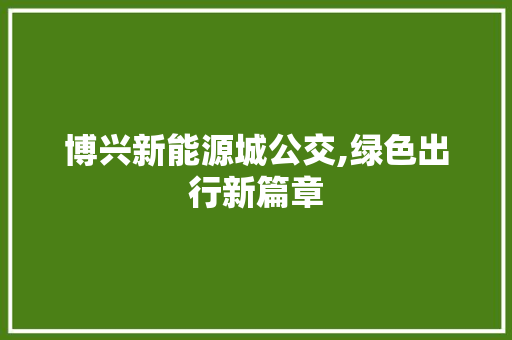 博兴新能源城公交,绿色出行新篇章