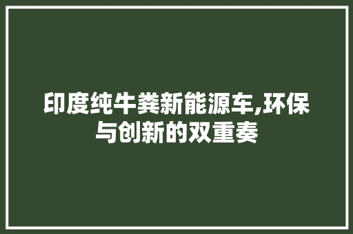 印度纯牛粪新能源车,环保与创新的双重奏