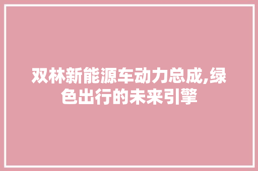 双林新能源车动力总成,绿色出行的未来引擎  第1张