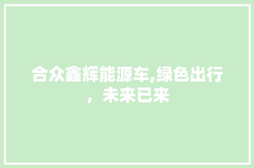 合众鑫辉能源车,绿色出行，未来已来